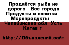 Продаётся рыба не дорого - Все города Продукты и напитки » Морепродукты   . Челябинская обл.,Усть-Катав г.